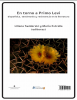 Cover for En torno a Primo Levi: biopolítica, testimonio y resistencia en la literatura